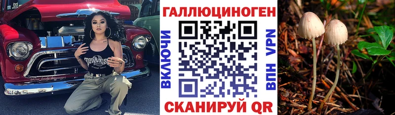 Галлюциногенные грибы Magic Shrooms наркошоп Ленинградская